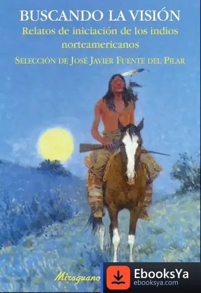 Descargar Buscando La Visión