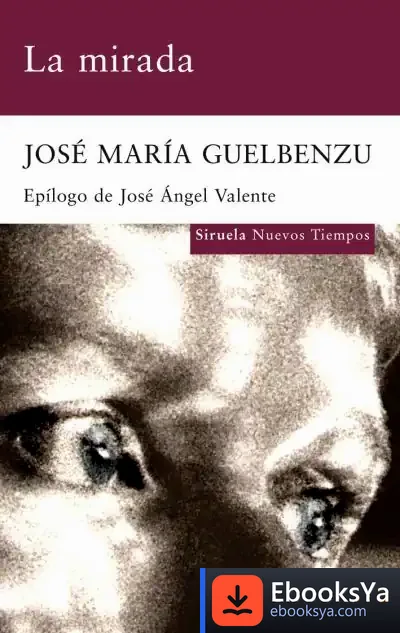 Descargar La Mirada