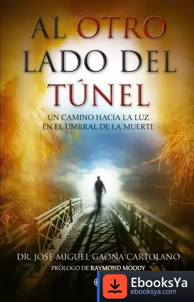 Descargar Al Otro Lado Del Túnel de José Miguel Gaona