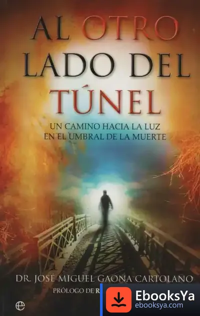 Descargar Al Otro Lado Del Tunel de José Miguel Gaona