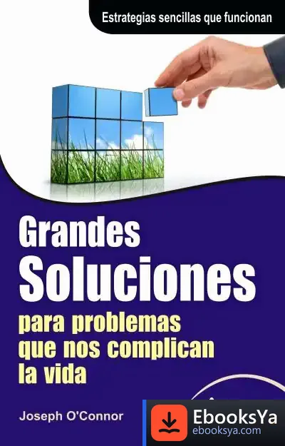 Descargar Grandes Soluciones Para Problemas Que Nos Complican La Vida de Antonio Vallés Arándiga