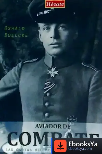 Descargar Aviador De Combate