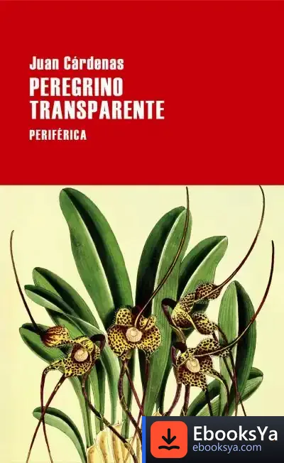 Descargar Peregrino Transparente