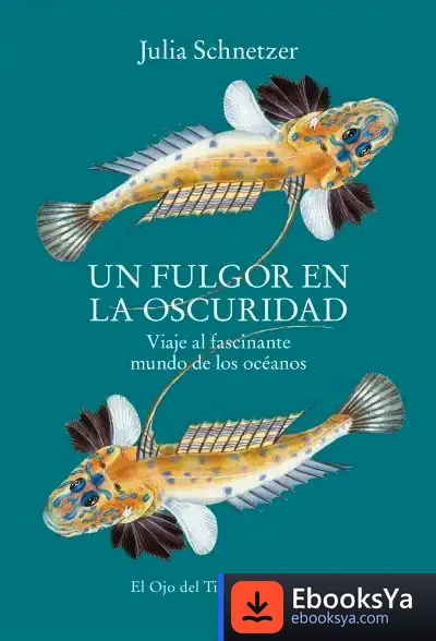 Descargar Un Fulgor En La Oscuridad