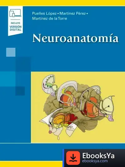 Descargar Neuroanatomia