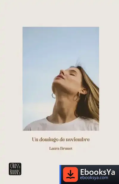 Descargar Un Domingo De Noviembre de Laura Brunet