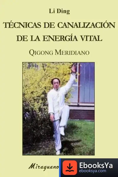 Descargar Técnicas De Canalización De La Energía Vital