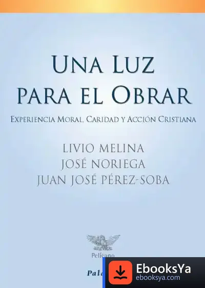 Descargar Una Luz Para El Obrar de Lu Ji