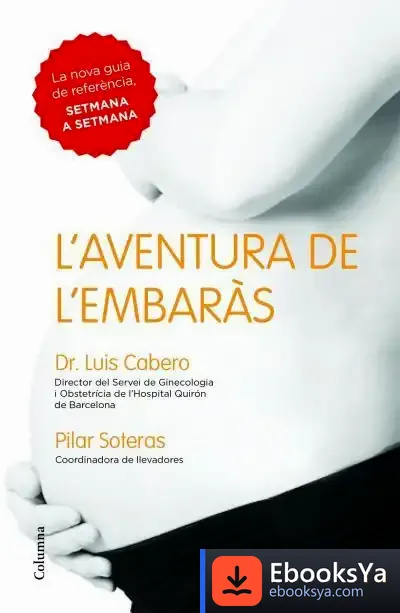 Descargar L'Aventura De L'Embaràs