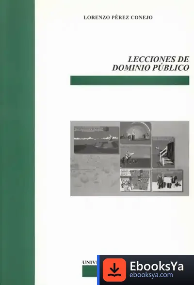 Descargar Lecciones De Dominio Público de Robert D. Stolorow