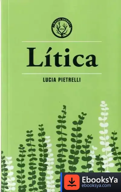 Descargar Lítica de Lucia Pietrelli