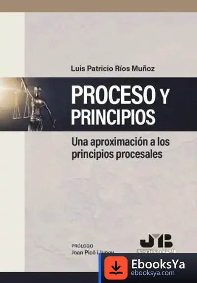 Descargar Proceso Y Principios