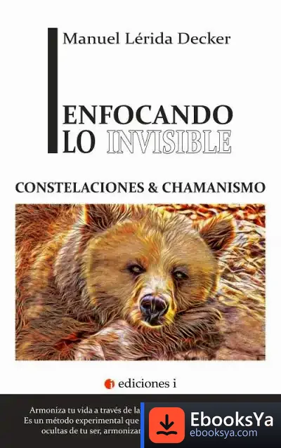 Descargar Enfocando Lo Invisible