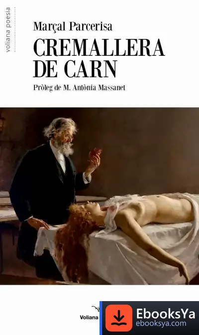 Descargar Cremallera De Carn