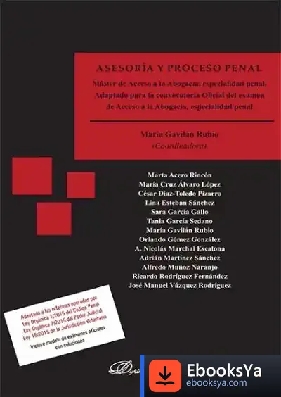 Descargar Asesoría Y Proceso Penal de María Gavilán Rubio