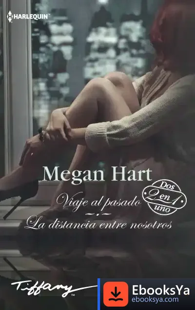 Descargar Viaje Al Pasado; La Distancia Entre Nosotros de Megan Hart