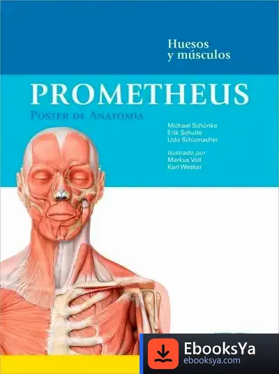 Descargar Prometheus. Póster De Anatomía