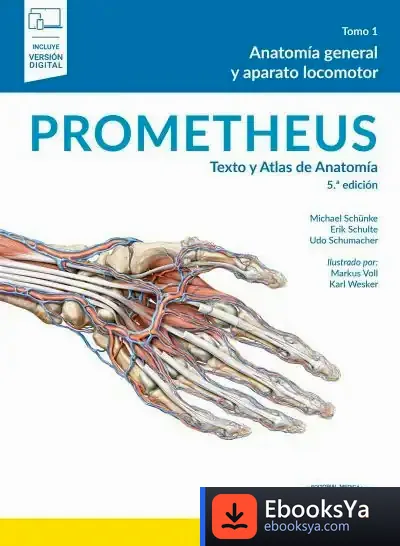 Descargar Prometheus. Texto Y Atlas De Anatomía