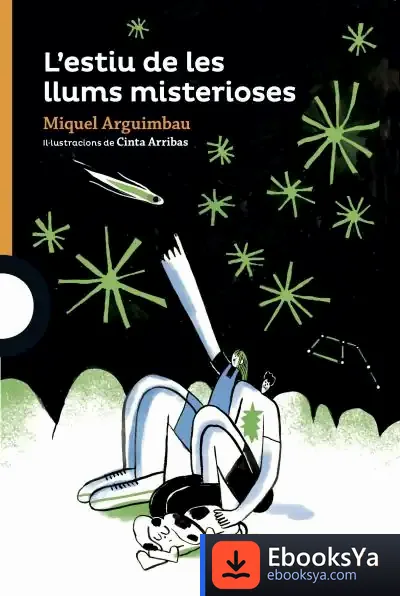 Descargar L'Estiu De Les Llums Misterioses