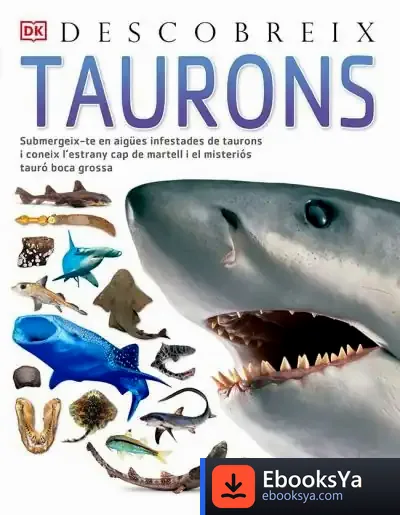 Descargar Taurons, Descobreix