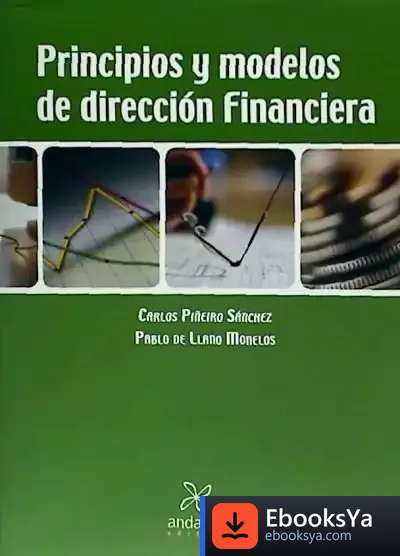 Descargar Principios Y Modelos De Dirección Financiera de Ildefonso Llorente Fernandez
