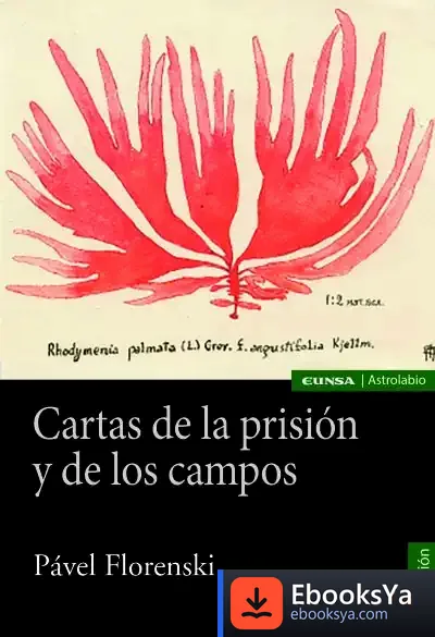 Descargar Cartas De La Prisión Y De Los Campos