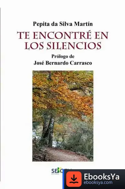 Descargar Te Encontré En Los Silencios de Pepita Da Silva