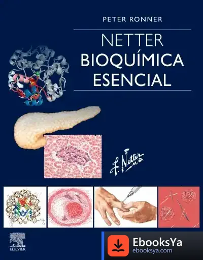 Descargar Netter. Bioquímica Esencial de Peter Ronner