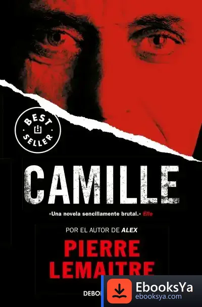 Descargar Camille de Pierre Lemaitre