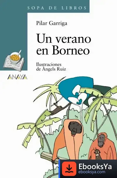Descargar Un Verano En Borneo