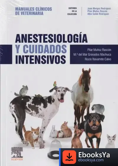 Descargar Anestesiología Y Cuidados Intensivos de Pilar Muñoz Rascón