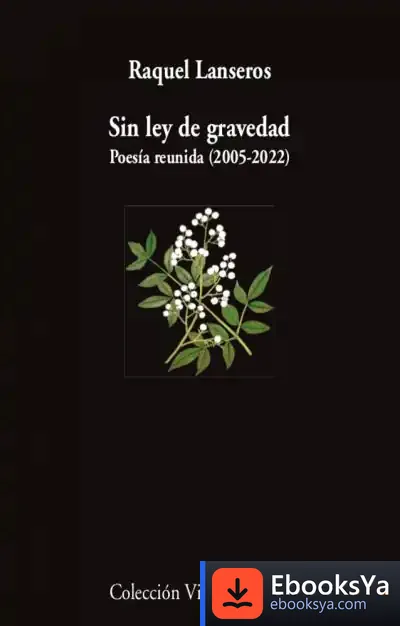 Descargar Sin Ley De Gravedad