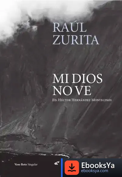 Descargar Mi Dios No Ve de Raúl Zurita
