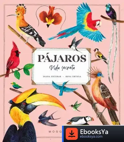 Descargar Pájaros. Vida Secreta