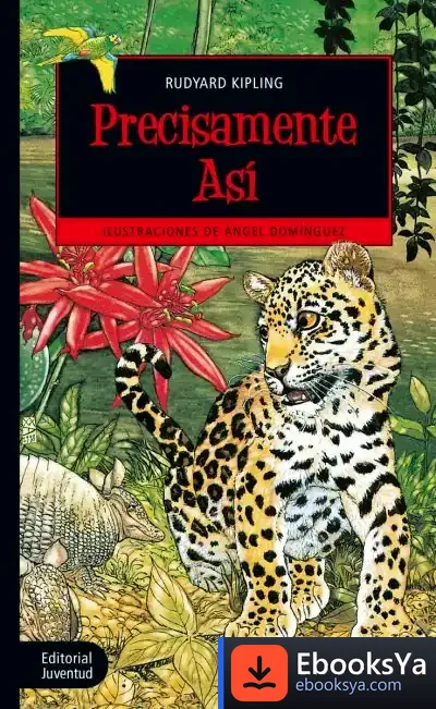Descargar Precisamente Así