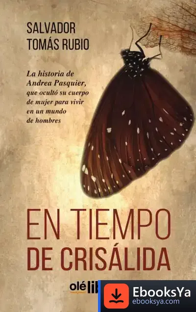Descargar En Tiempo De Crisálida