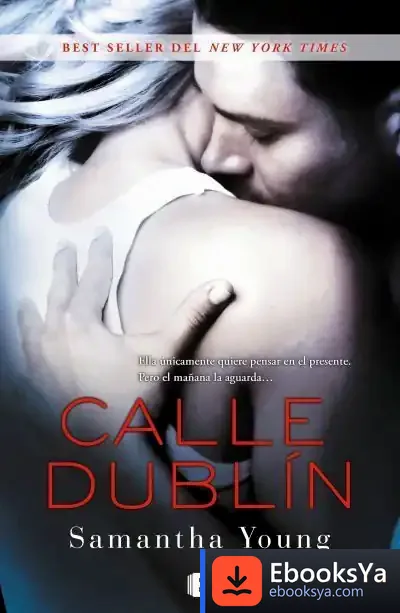 Descargar Calle Dublín de Samantha Young