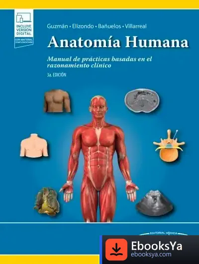 Descargar Anatomia Humana 3 Ed