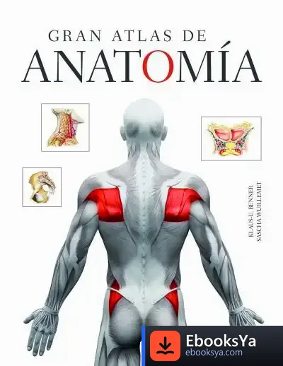 Descargar Gran Atlas De Anatomía de Sascha Wuillemei