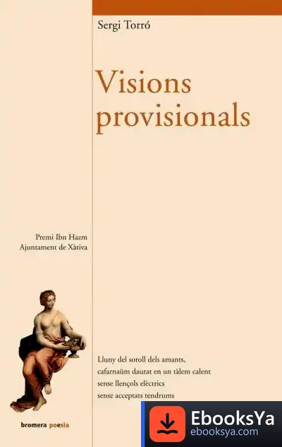 Descargar Visions Provisionals de Sergi Torró I Ferrero