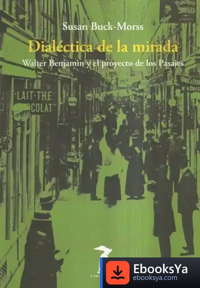 Descargar Dialéctica De La Mirada