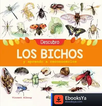 Descargar Descubro Los Bichos Y Aprendo A Reconocerlos de Vincent Albouy