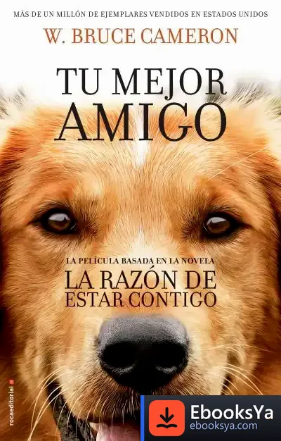 Descargar La Razón De Estar Contigo