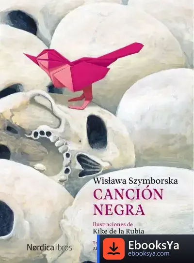Descargar Canción Negra