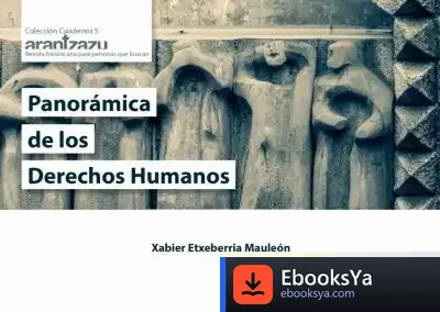 Descargar Panorámica De Los Derechos Humanos